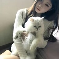 weijiabao